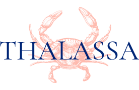 logo dark